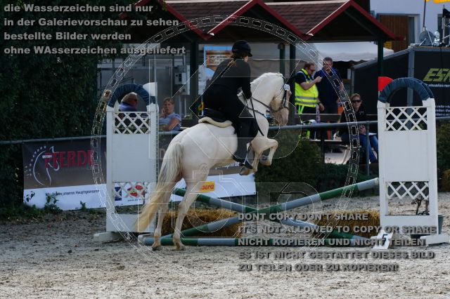 s_DSC05075.JPG